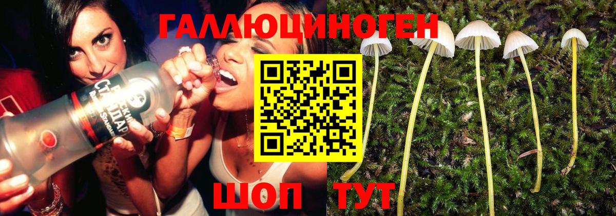 Коркино  Псилоцибиновые грибы Psilocybe  Псилоцибиновые грибы GOLDEN TEACHER  Вход с VPN 