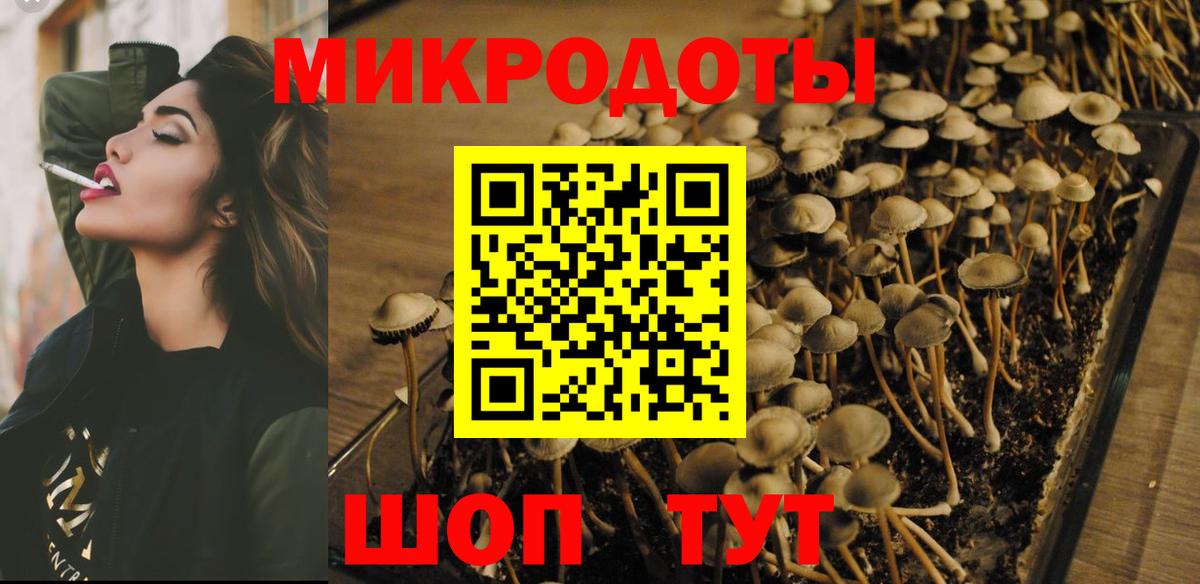Псилоцибиновые грибы прущие грибы Коркино